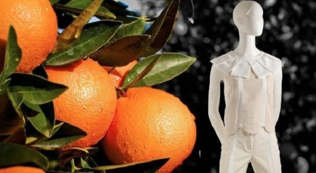 Orange fiber, il tessuto che rilascia sulla pelle vitamina C