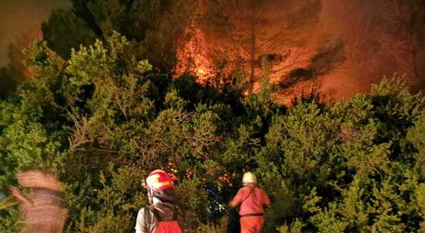 Guerra a incendi boschivi e piromani : la Regione rinnova l'accordo con carabinieri e protezione civile