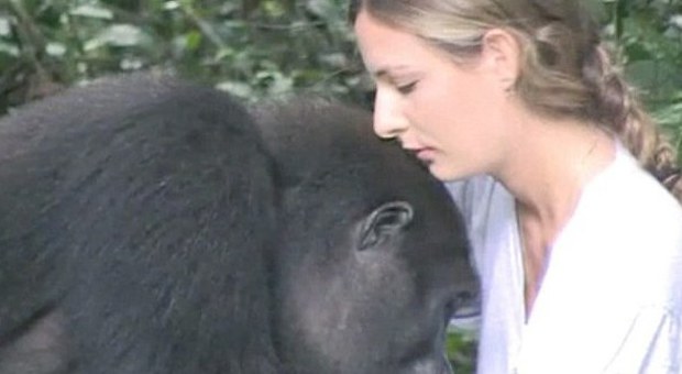 Il gorilla ritrova la padroncina dopo 12 anni: il commovente incontro tra Tansy e Djalta