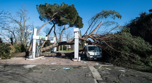 Roma flagellata dal vento, decine di alberi e rami caduti: oltre 100 interventi