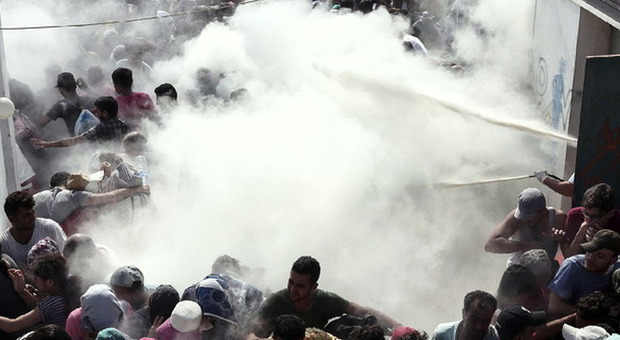 Migranti, a Kos scontri con la polizia. Il sindaco: "Rischiamo un bagno di sangue"