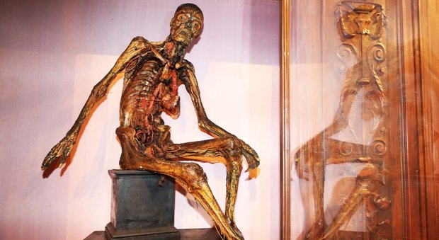 Napoli. Porte aperte al Museo di Anatomia: è tra i più antichi e completi al mondo| Foto e video