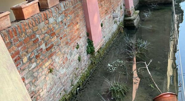 I danni provocati dai vandali ai Buranelli a Trevso