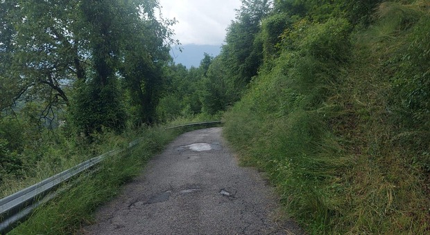 La strada che porta a Piandelmonte invasa dalla vegetazione