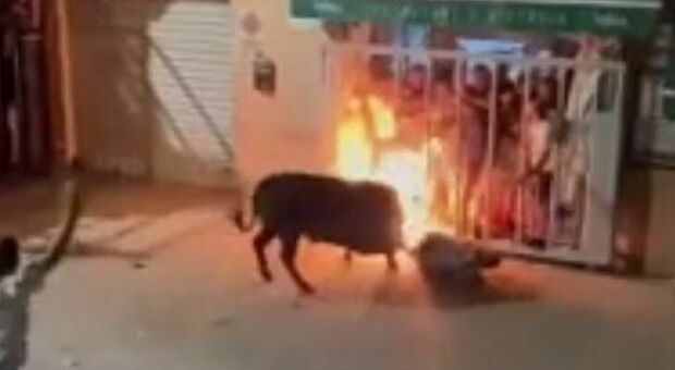 Valencia, travolto da un toro con le corca infuocate: muore a 24 anni Adrian Martínez Fernández