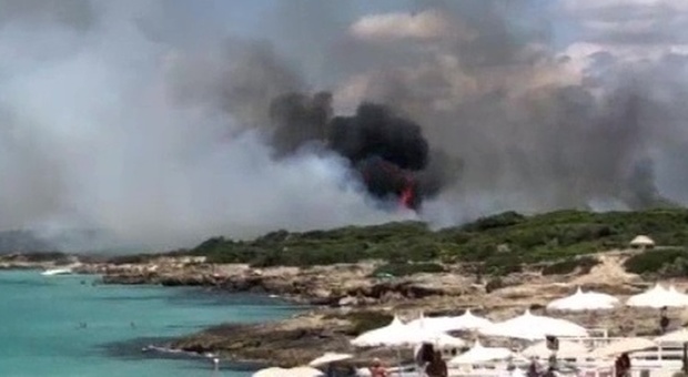 Incendio a Punta Pizzo, si contano i danni. Legambiente: «Interessi oscuri, tuteliamo i parchi»