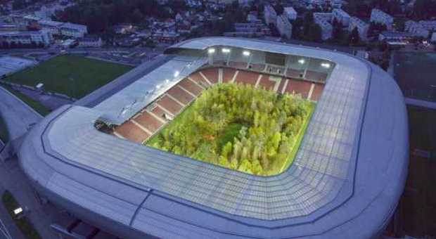 Il campo di calcio è una foresta: l'installazione nello stadio in Austria