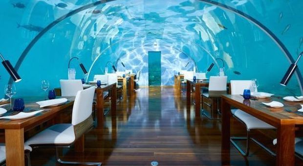 Da Dubai alle Maldive: i ristoranti subacquei più incredibili del mondo