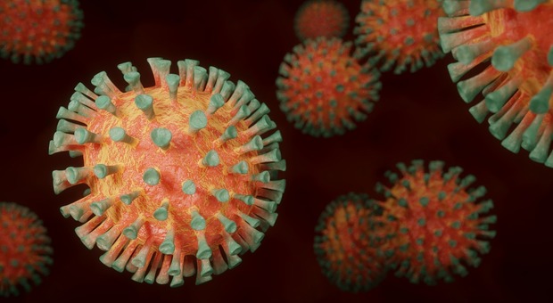 Malattia X, cosa è e perché allarma l'Oms. Il nuovo virus (secondo gli esperti) potrebbe provocare un'altra pandemia