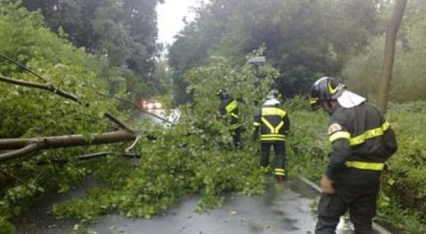 Maltempo, pioggia e fulmini in Veneto: a fuoco due immobili, decine di alberi caduti