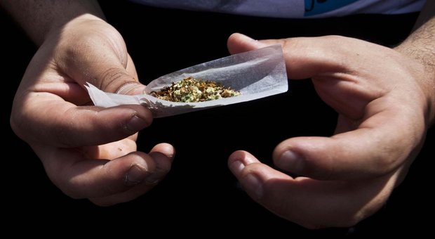 Cannabis, M5S presenta ddl al Senato: «Legalizzarla per uso ricreativo». Scintille con la Lega
