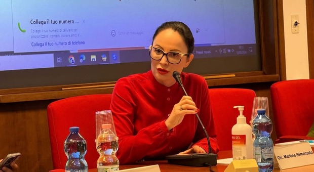 Martina Semenzato, deputata, presidente della commissione parlamentare d’inchiesta sul femminicidio