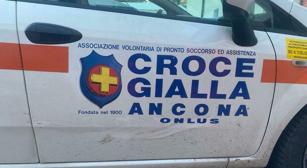 Ancona, "incontro" fortuito con i cinghiali al Poggio: danneggiata una macchina della Croce Gialla