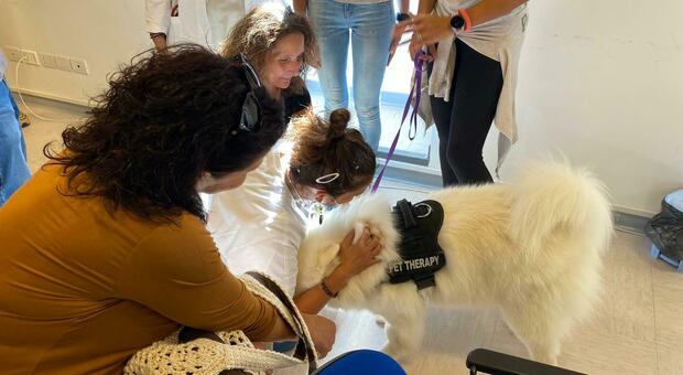 In corsia i cani che aiutano a guarire, pet therapy alla casa della salute di Treia