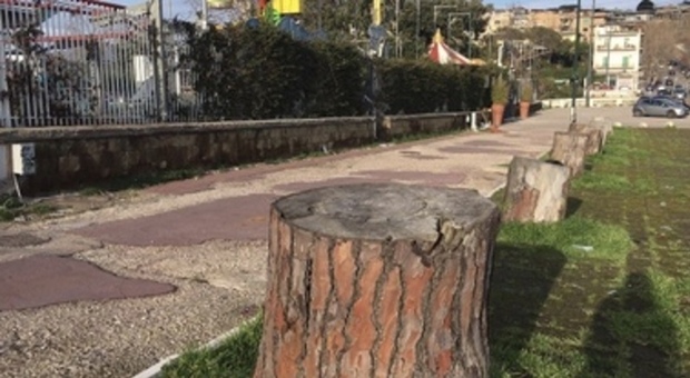 Napoli, manutenzione verde: 13 interventi effettuati in questa settimana