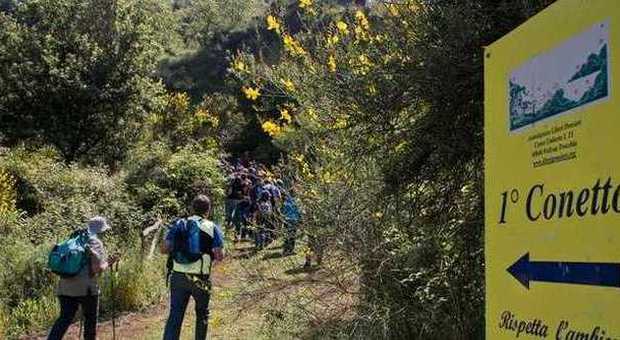 Pollena Trocchia, sito geologico dei Conetti vulcanici nel Parco del Vesuvio