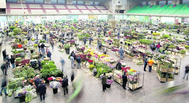 Terlizzi, il futuro del mercato dei fiori: progetto da 1,5 milioni di euro. Collegamenti in Rete e sistema video per vendite dal vivo