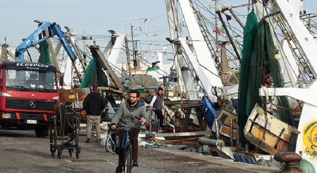 Anticipo del fermo sul pesce azzurro, il ministero dice no: acque agitate al porto