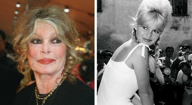 Brigitte Bardot smentisce su Twitter le voci sulla sua malattia: «Sto molto bene»