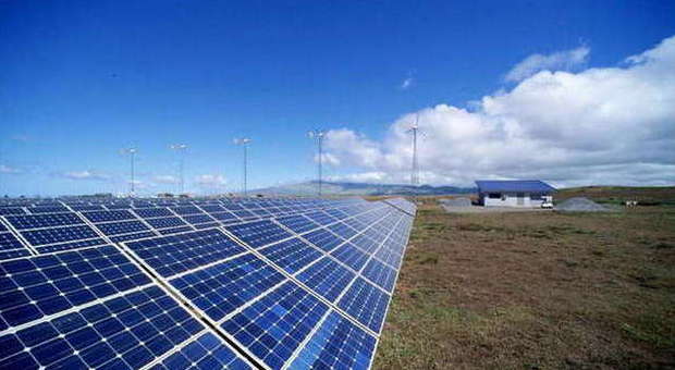 Pannelli fotovoltaici da 80mila euro spariscono dall'azienda agricola