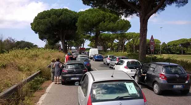 Crolla un altro albero a Roma, traffico bloccato verso l'aeroporto di Fiumicino