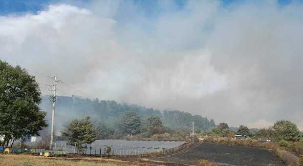Incendio nella faggeta di Oriolo Romano, patrimono Unesco. Abitazioni minacciate dal fuoco