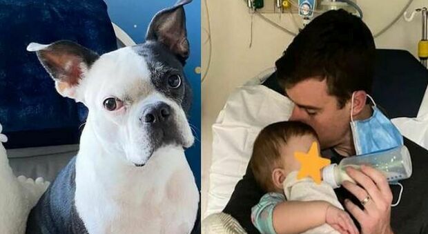 Neonata ha un malore in culla, salvata dal cane "nervoso" che allerta i genitori