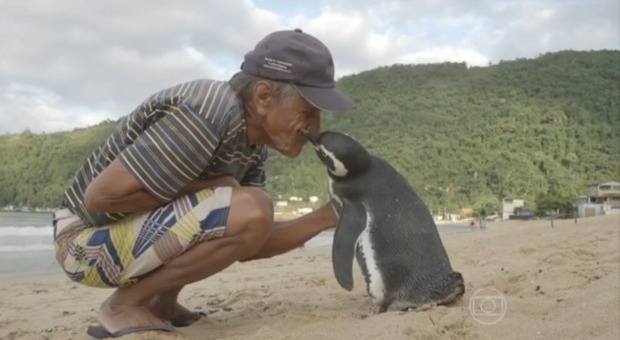 Il pinguino Dindim con il pescatore Joao Pereira de Souza (Tv Globo)