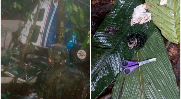 Tre bambini e un neonato trovati vivi nella giungla dopo 17 giorni: «Sopravvissuti a un incidente aereo»