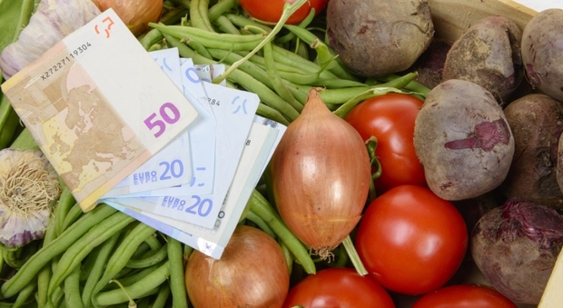 Cresce il business delle agromafie, sulle tavole italiane cibi pericolosi per 24,5 miliardi di euro