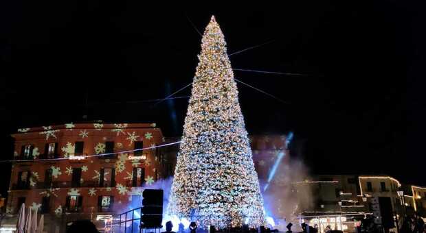 Si accende l'albero in piazza: a Bari è arrivato il Natale