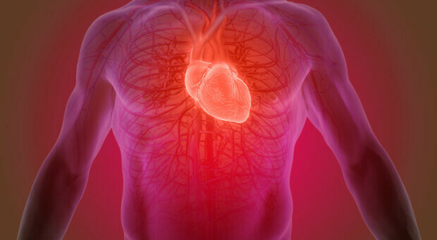 Scompenso cardiaco, la nuova definizione e classificazione: i nuovi studi a Siena