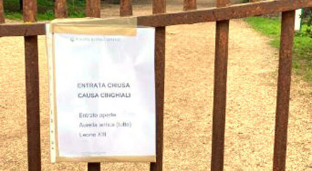 Roma, allarme cnghiali: Villa Pamphilj chiusa, i cartelli appesi agli ingressi FOTO