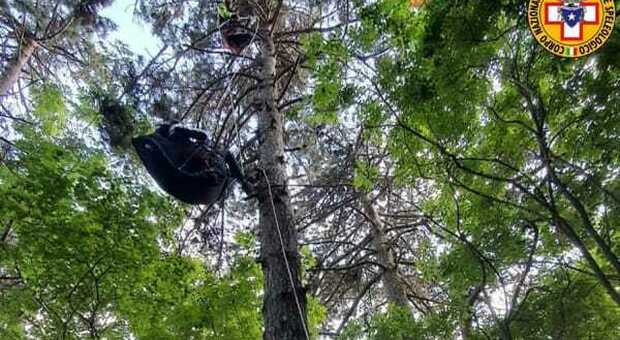 Parapendio precipita sul Grappa, il pilota resta appesa a un albero a 8 metri d'altezza: salvato