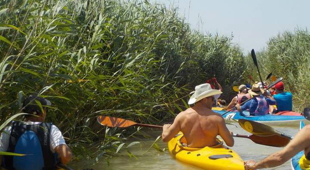 Una escursione in canoa nel Delta