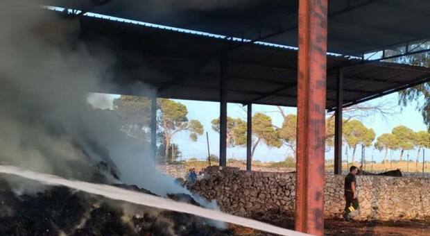 Incendio nell'azienda agricola: salvi gli animali ma le fiamme distruggono mezzi e balle di fieno