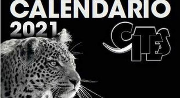 I Carabinieri forestali presentano il calendario Cites 2021 dedicato agli animali in via di estinzione
