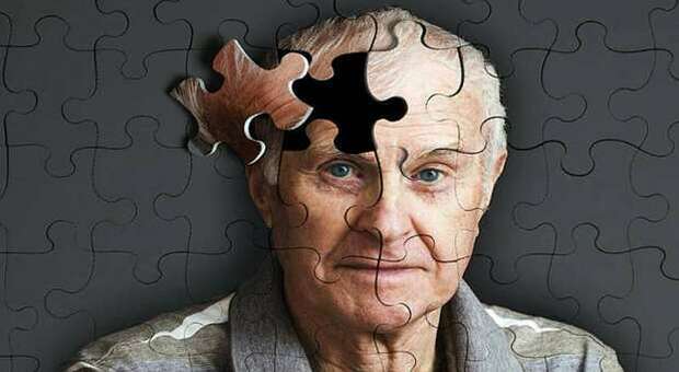 Alzheimer, scoperta una proteina che difende le cellule da stress e invecchiamento