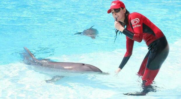 Rimini, Gessica Notaro torna a esibirsi in acqua con i delfini: a 12 anni dallo sfregio con l'acido