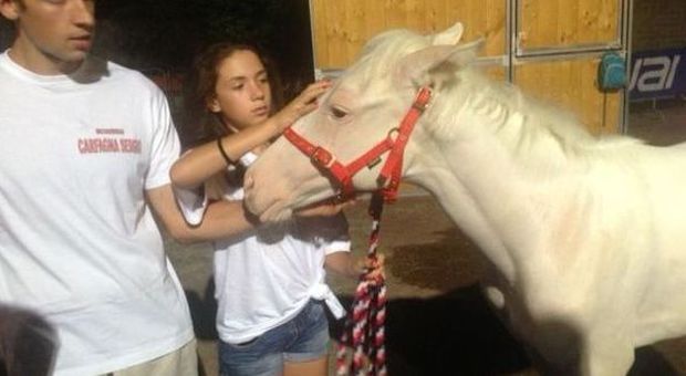 Assisi, la cavallina albina “battezzata” da un frate