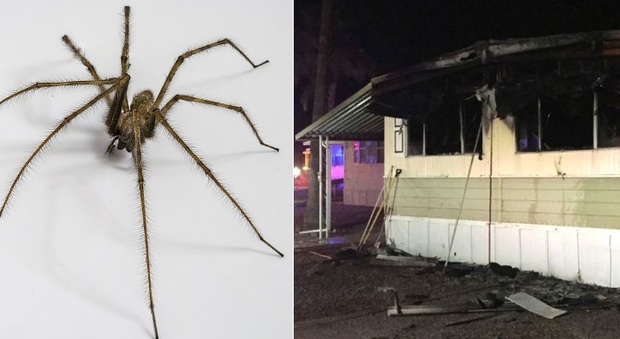 Usa, prova a uccidere un ragno con la fiamma ossidrica e dà fuoco alla casa