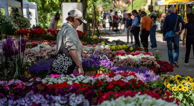 Forte in fiore, novemila visitatori per la prima manifestazione a Mestre dedicata a piante, fiori, erbe e prodotti dell'orto