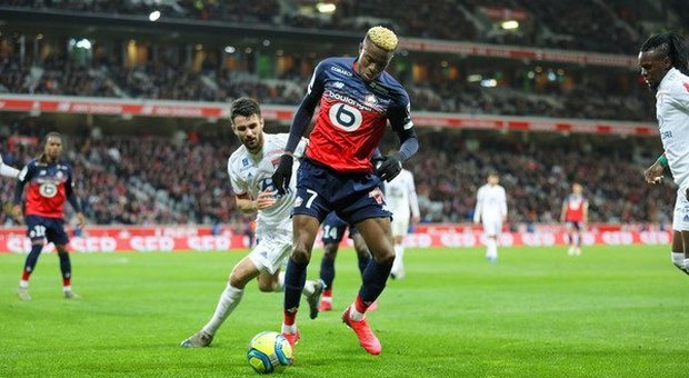 Osimhen, Tottenham non s'arrende: altra offerta al Lille dalla Premier