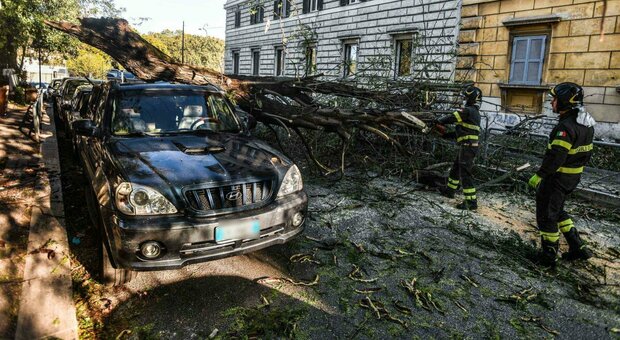 Albero cade sulle auto a Roma, tragedia sfiorati a Prati: terzo episodio in 48 ore