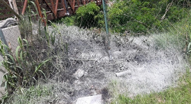 San Severino, i vandali all'assalto della scuola rischiano di bruciare il ponte pedonale