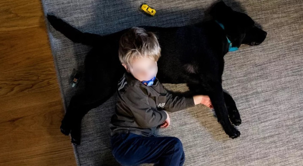 Malattia rara, Cesare di 5 anni di Conegliano perde la vista. Raccolta fondi per addestrare il cane