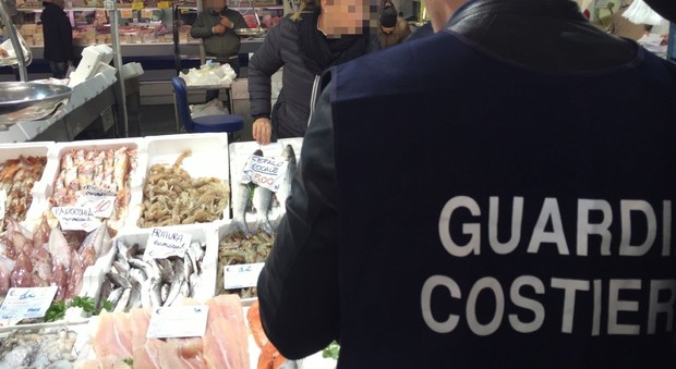 Roma, pesce conservato male nei ristoranti etnici di Eur e Magliana: sequestrati 150 chili