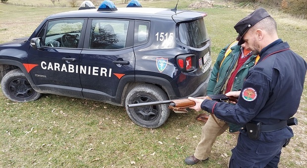 Caccia illegale al cinghiale, pioggia di sanzioni comminate dai carabinieri forestale