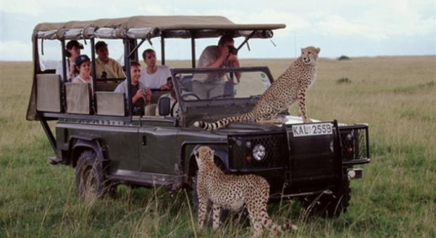 Un safari fotografico in Africa