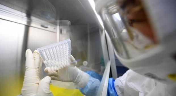 «Coronavirus, nessuna prova contro il laboratorio di Wuhan»: fonti di Intelligence smentiscono Trump